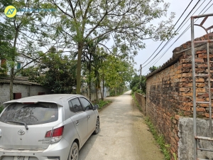 Gần 2000m2 có 200m2 thổ cử tại An Lão - Bình Lục!